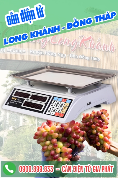 Cân điện tử ở Long Khánh Đồng Tháp - Cân Gia Phát