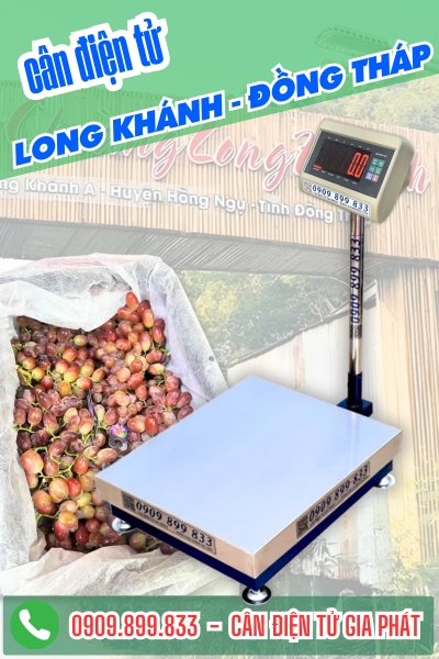Cân điện tử ở Long Khánh Đồng Tháp - Cân Gia Phát