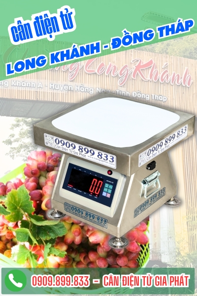 Cân điện tử ở Long Khánh Đồng Tháp - Cân Gia Phát