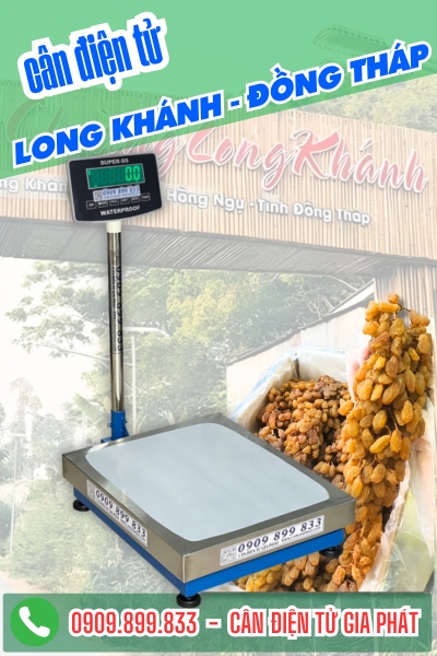 Cân điện tử ở Long Khánh Đồng Tháp - Cân Gia Phát