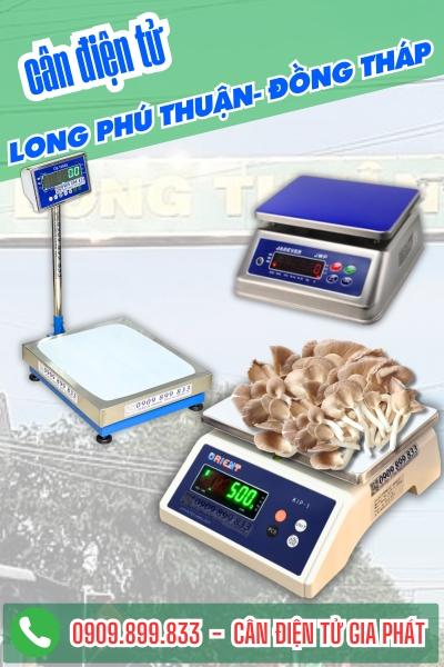 Top cân điện tử ở xã Long Phú Thuận Đồng Tháp chuyên cân nấm bào ngư