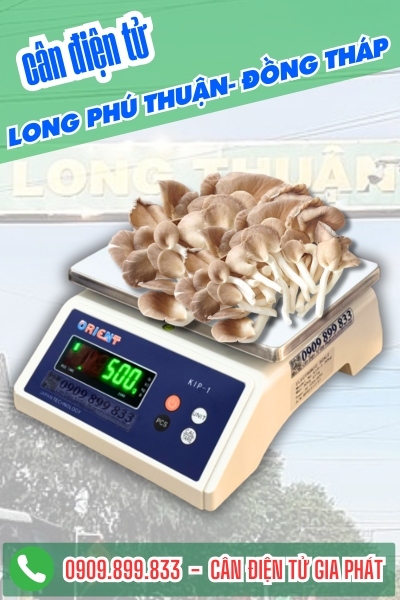 Cân điện tử ở Long Phú Thuận Đồng Tháp - Cân Gia Phát