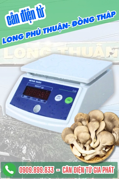 Cân điện tử ở Long Phú Thuận Đồng Tháp - Cân Gia Phát