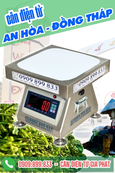 Cân điện tử ở An Hòa Đồng Tháp - Cân Gia Phát