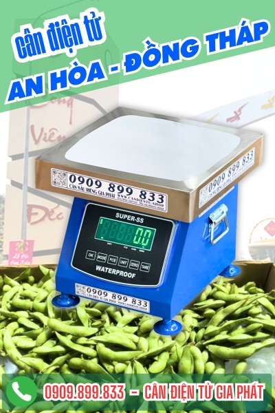 Cân điện tử ở An Hòa Đồng Tháp - Cân Gia Phát