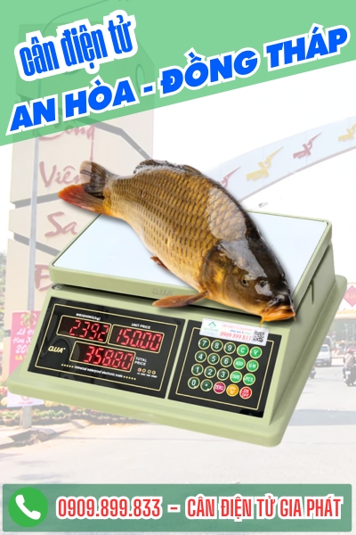 Cân điện tử ở An Hòa Đồng Tháp - Cân Gia Phát