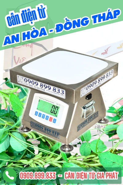 Cân điện tử ở An Hòa Đồng Tháp - Cân Gia Phát