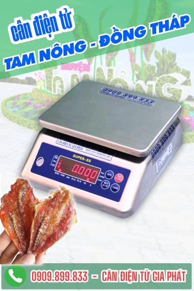 Cân điện tử ở Tam Nông Đồng Tháp - Cân Gia Phát