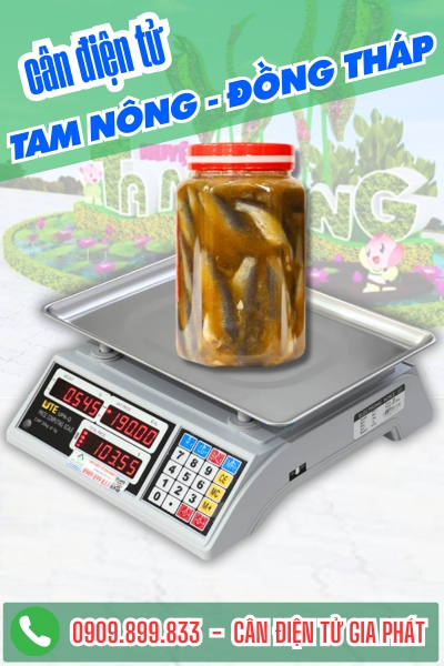 Cân điện tử Tam Nông Đồng Tháp - Cân Gia Phát