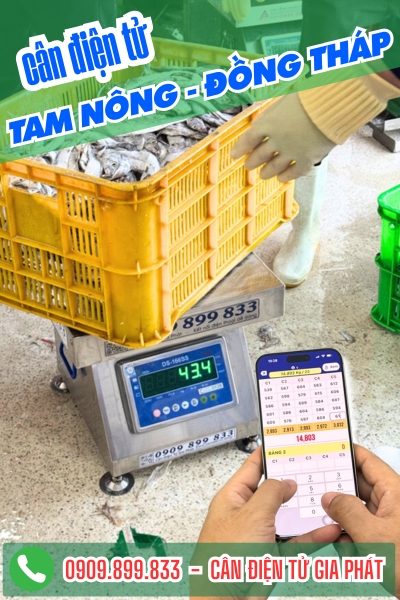 Cân điện tử Tam Nông Đồng Tháp - Cân Gia Phát