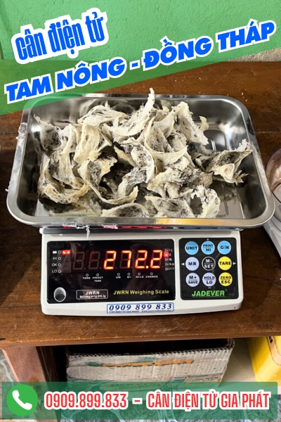 Cân điện tử Tam Nông Đồng Tháp - Cân Gia Phát