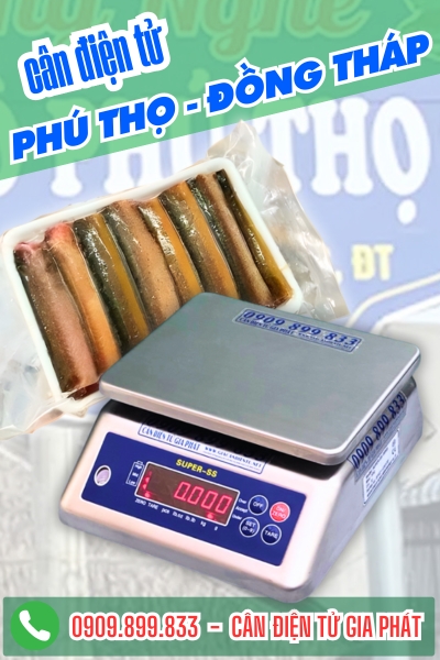 Cân điện tử ở Phú Thọ Đồng Tháp - Cân Gia Phát
