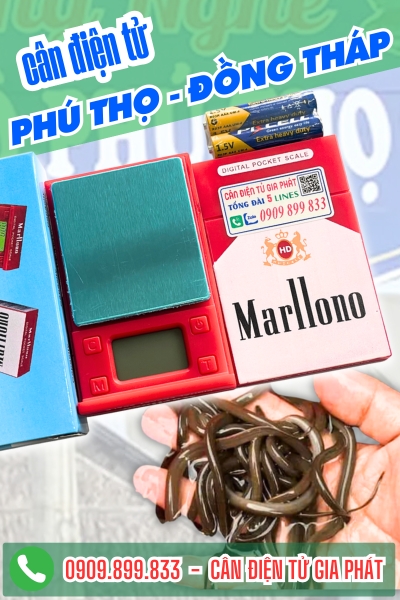 Cân điện tử ở Phú Thọ Đồng Tháp - Cân Gia Phát
