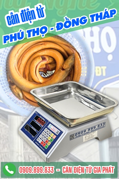 Cân điện tử ở Phú Thọ Đồng Tháp - Cân Gia Phát