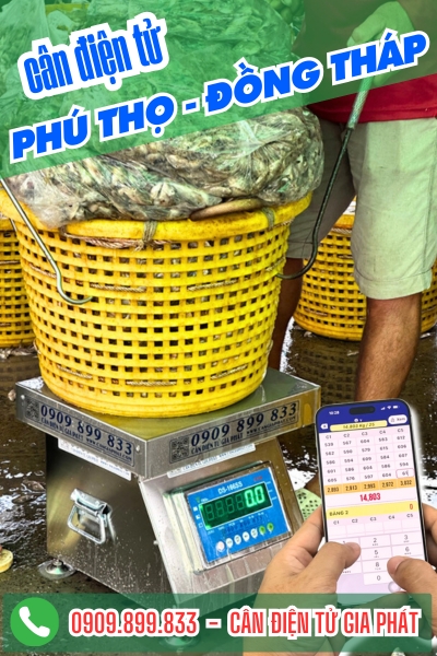 Cân điện tử ở Phú Thọ Đồng Tháp - Cân Gia Phát