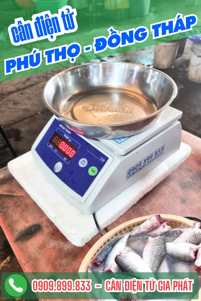 Cân điện tử ở Phú Thọ Đồng Tháp - Cân Gia Phát