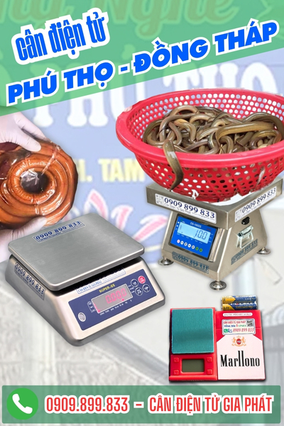 Cân điện tử ở Phú Thọ Đồng Tháp - Cân Gia Phát