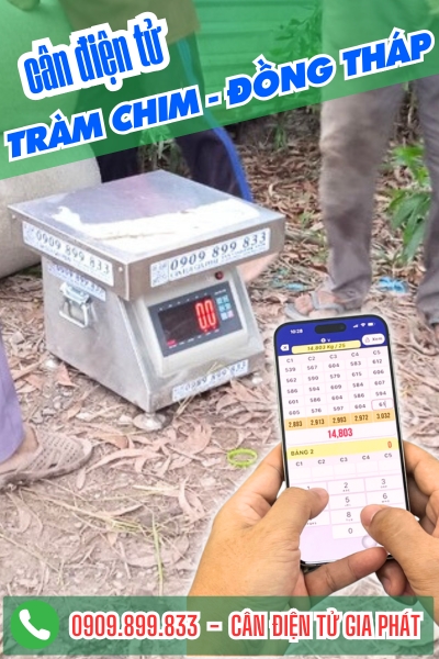 Cân điện tử ở Tràm Chim Đồng Tháp - Cân Gia Phát