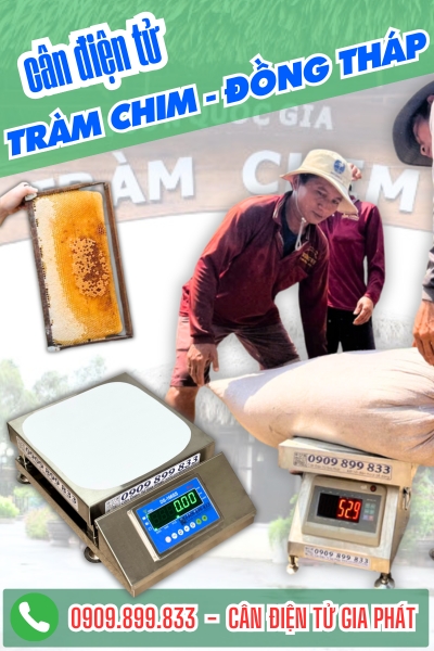 Cân điện tử ở Tràm Chim Đồng Tháp - Cân Gia Phát