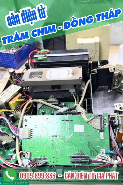 Cân điện tử ở Tràm Chim Đồng Tháp - Cân Gia Phát