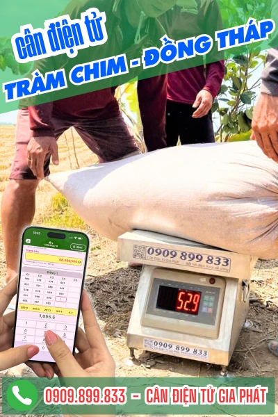 Cân điện tử ở Tràm Chim Đồng Tháp - Cân Gia Phát