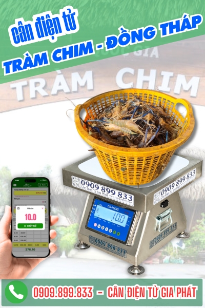Cân điện tử ở Tràm Chim Đồng Tháp - Cân Gia Phát