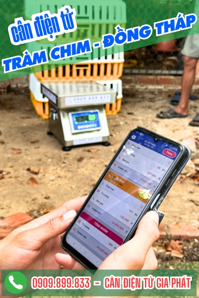 Cân điện tử ở Tràm Chim Đồng Tháp - Cân Gia Phát