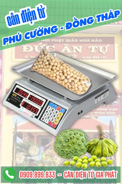 C&acirc;n điện tử ở Ph&uacute; Cường Đồng Th&aacute;p - C&acirc;n Gia Ph&aacute;t
