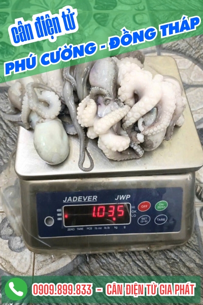 Cân điện tử ở Phú Cường Đồng Tháp - Cân Gia Phát