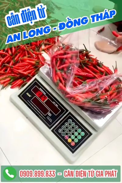 Cân điện tử ở An Long Đồng Tháp - Cân Gia Phát