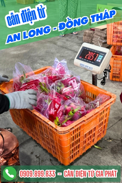 Cân điện tử ở An Long Đồng Tháp - Cân Gia Phát