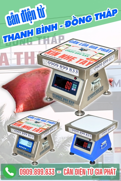 Top cân điện tử ở xã Thanh Bình Đồng Tháp chuyên cân lúa chống nước