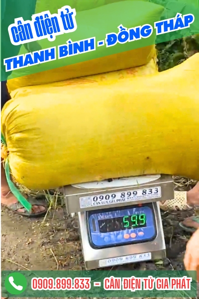 Cân điện tử ở Thanh Bình Đồng Tháp - Cân Gia Phát