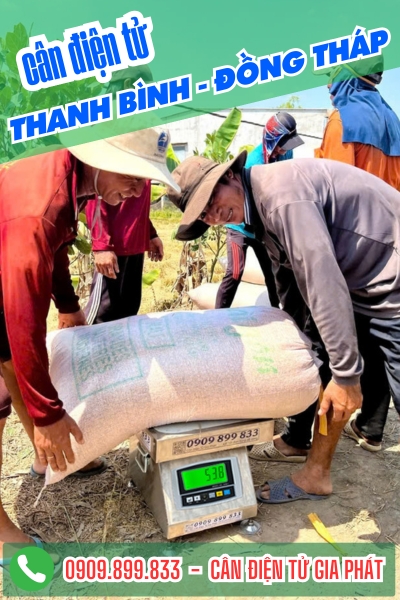 Cân điện tử ở Thanh Bình Đồng Tháp - Cân Gia Phát