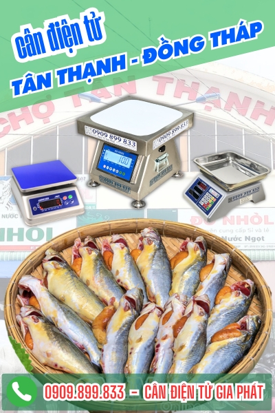 Top cân điện tử ở xã Tân Thanh Đồng Tháp cân cá chốt chống nước