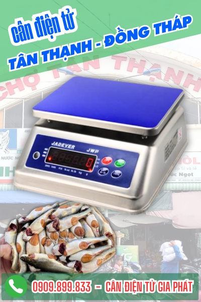Cân điện tử ở Tân Thạnh Đồng Tháp - Cân Gia Phát
