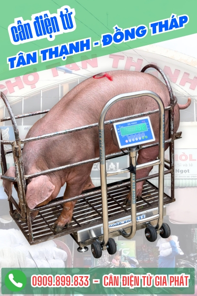 Cân điện tử ở Tân Thạnh Đồng Tháp - Cân Gia Phát