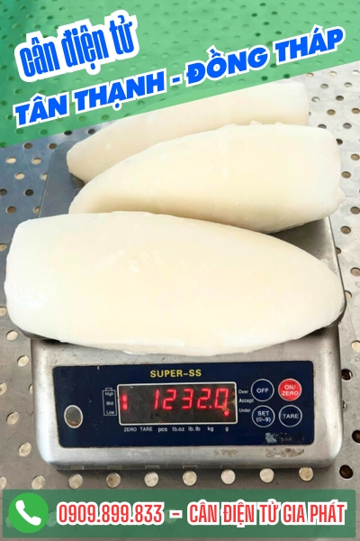 Cân điện tử ở Tân Thạnh Đồng Tháp - Cân Gia Phát