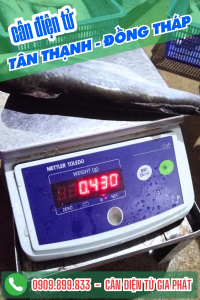 Cân điện tử ở Tân Thạnh Đồng Tháp - Cân Gia Phát