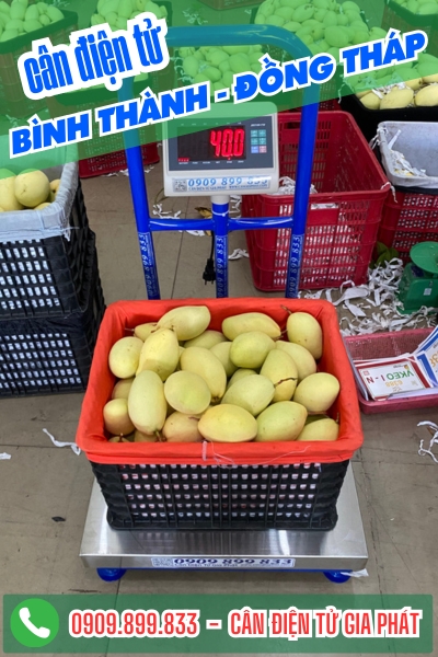 Cân điện tử ở Bình Thành Đồng Tháp - Cân Gia Phát