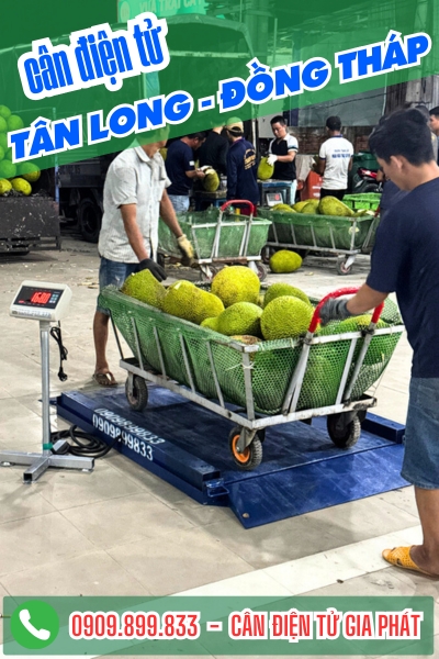 C&acirc;n điện tử ở T&acirc;n Long Đồng Th&aacute;p - C&acirc;n Gia Ph&aacute;t