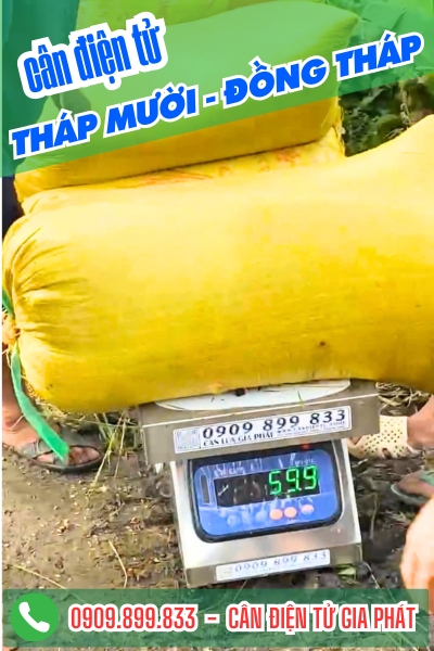 Cân điện tử ở Tháp Mười Đồng Tháp - Cân Gia Phát