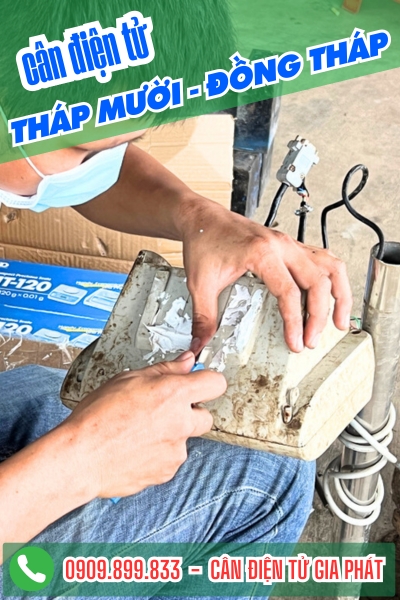 Cân điện tử ở Tháp Mười Đồng Tháp - Cân Gia Phát