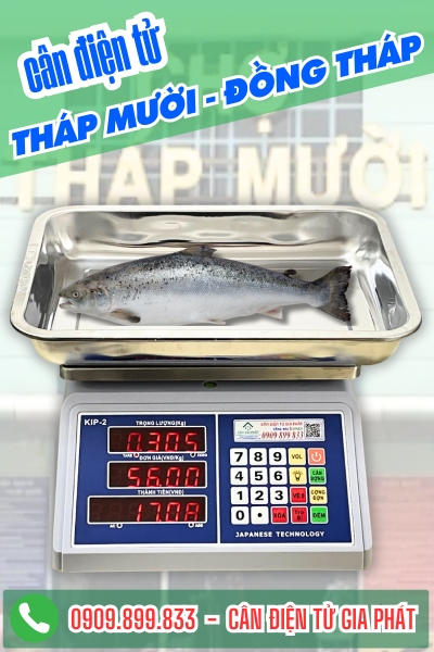 C&acirc;n điện tử ở Th&aacute;p Mười Đồng Th&aacute;p - C&acirc;n Gia Ph&aacute;t
