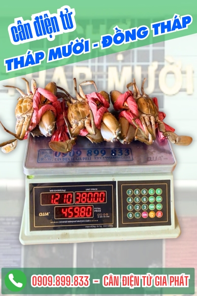 C&acirc;n điện tử ở Th&aacute;p Mười Đồng Th&aacute;p - C&acirc;n Gia Ph&aacute;t