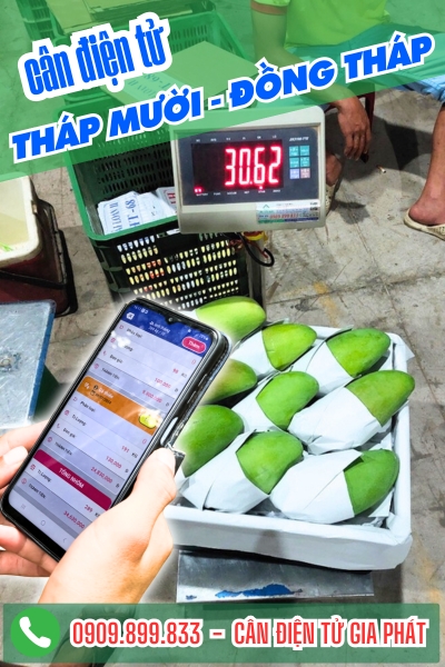 Cân điện tử ở Tháp Mười Đồng Tháp - Cân Gia Phát