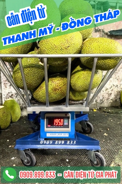 Cân điện tử ở Thanh Mỹ Đồng Tháp - Cân Gia Phát