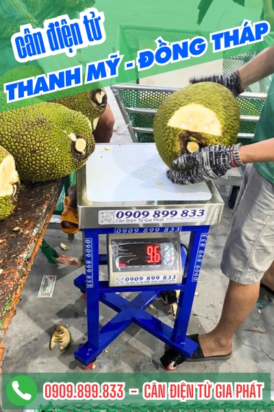 Cân điện tử ở Thanh Mỹ Đồng Tháp - Cân Gia Phát