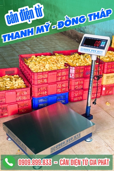 Cân điện tử ở Thanh Mỹ Đồng Tháp - Cân Gia Phát