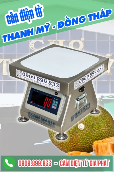 Cân điện tử ở Thanh Mỹ Đồng Tháp - Cân Gia Phát